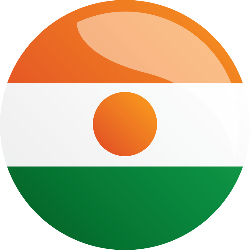 Niger National Flag