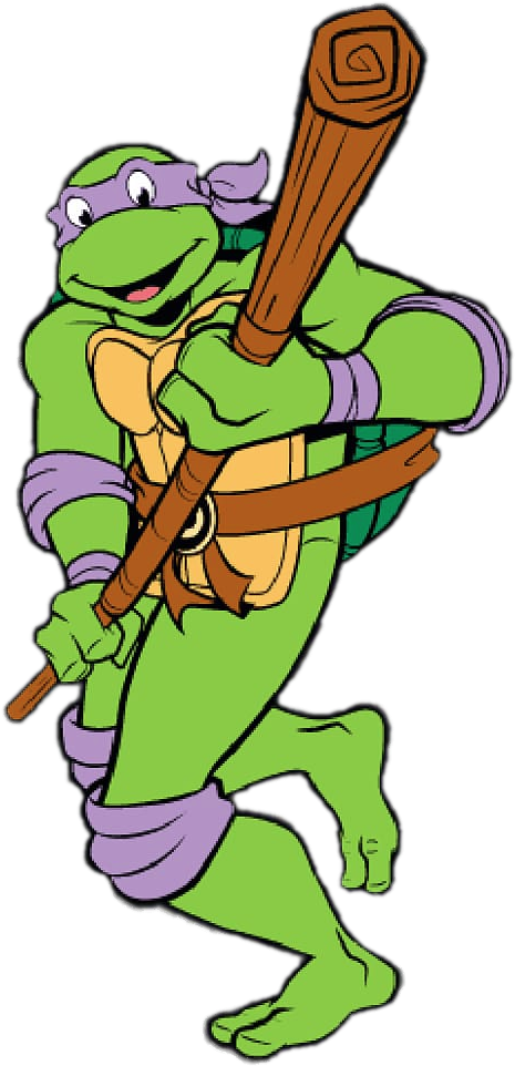 Ninja Turtle With Bo Staff