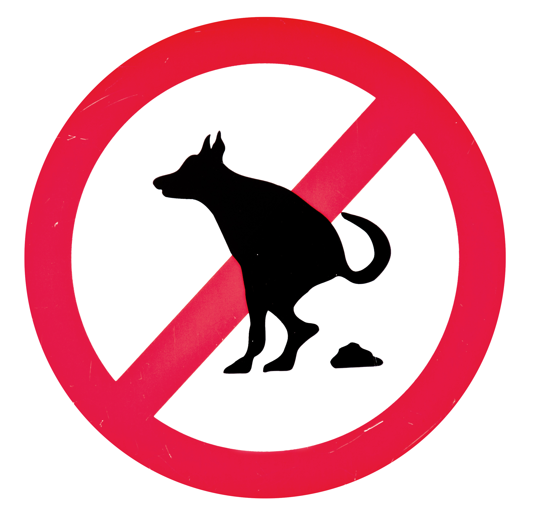 No Dog Pooping Sign