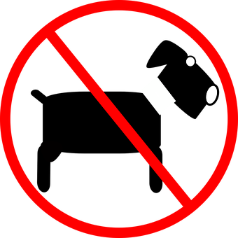 No Dogs Allowed Sign PNG with transparent background