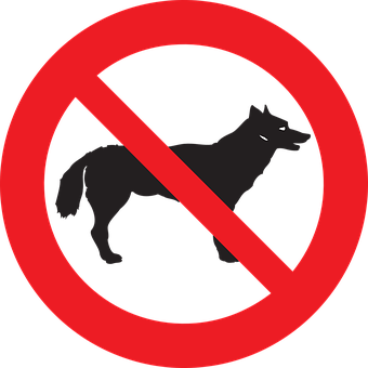 No Dogs Allowed Sign PNG with transparent background