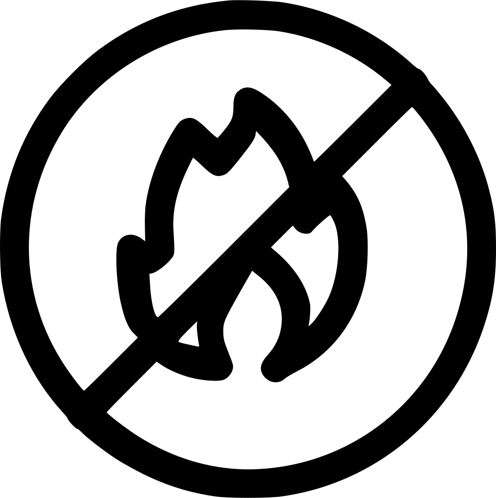 No Fire Sign Icon