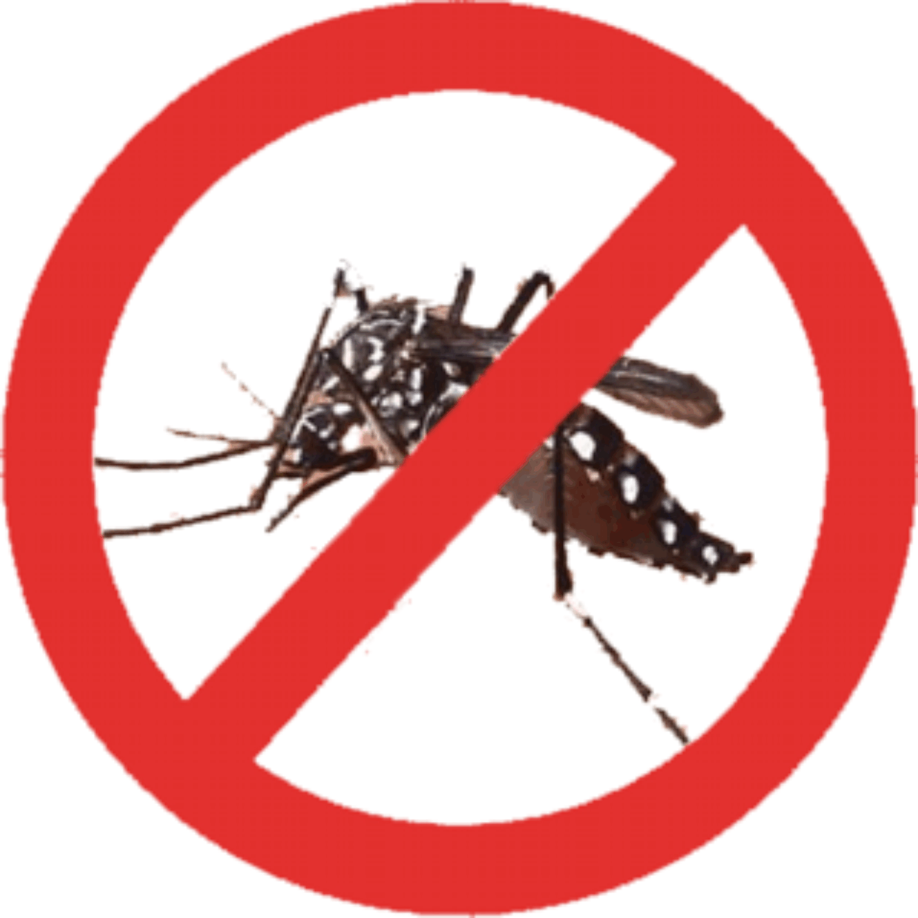 No Mosquito Sign