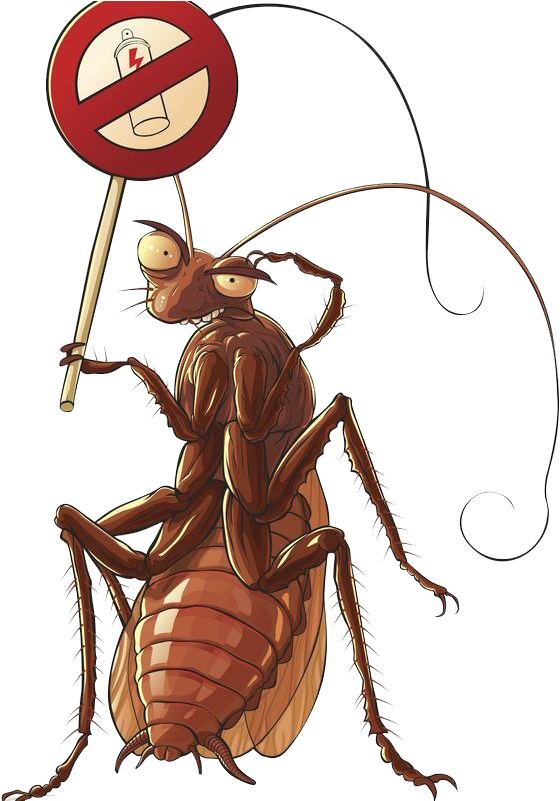 No Pesticide Cockroach Protest PNG image with a transparent background, free high-resolution download