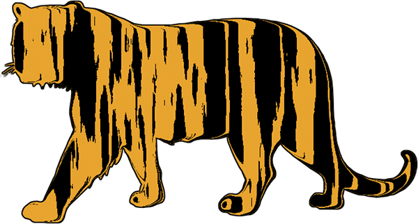 Nor Is My Tiger - Siberian Tiger PNG with transparent background
