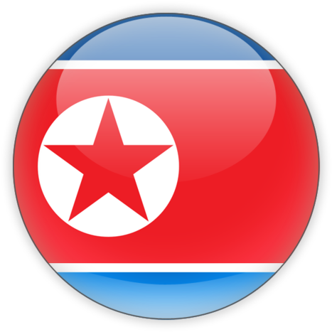 North Korean Flag Button