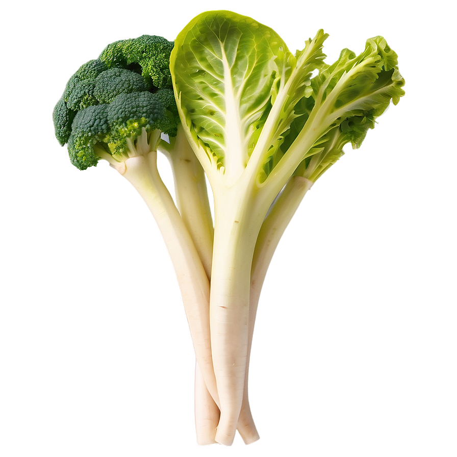 Nutrient-dense Vegetables Png Gjr