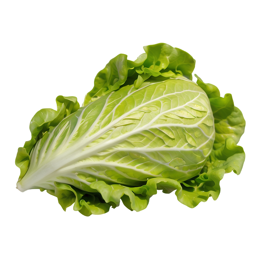 Nutrient-rich Lettuce Png Phn57