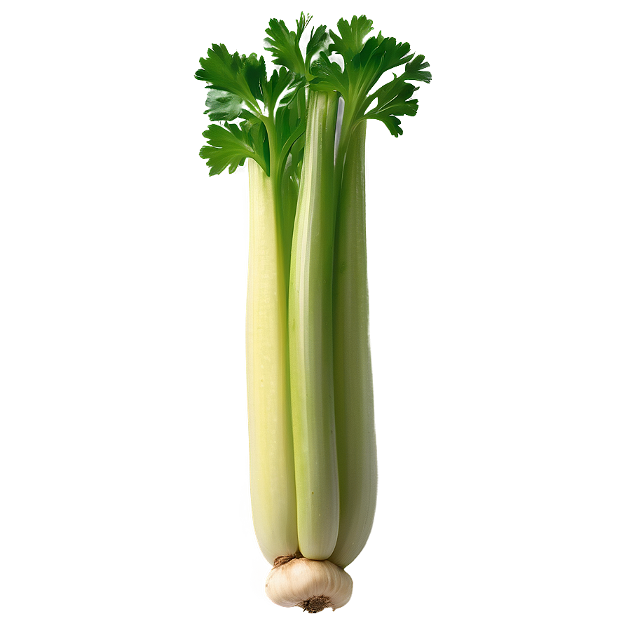 Nutritious Celery Png 90