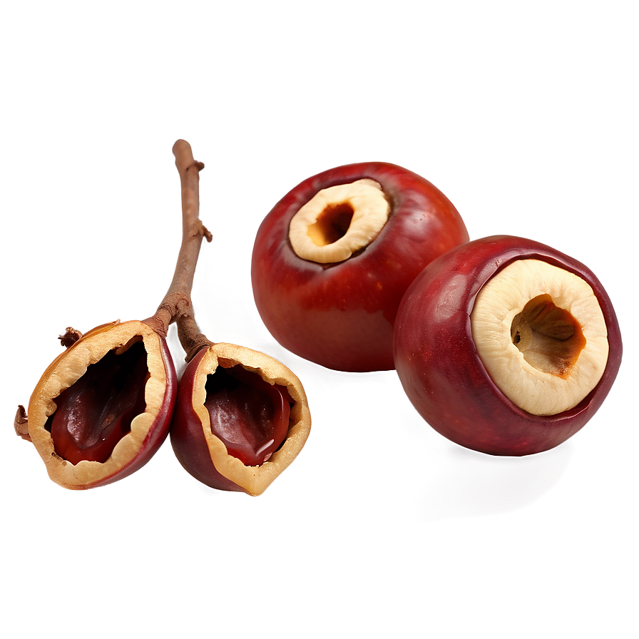 Nutritious Medlar Png Kxt