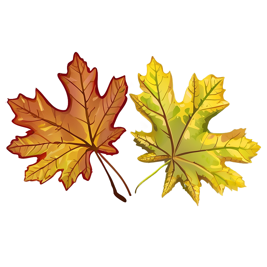 Oak And Maple Fallen Leaves Png Bca46