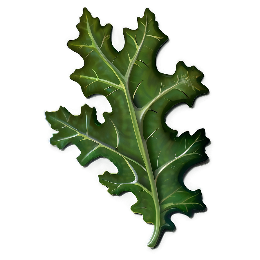 Oak Leaf Border Png Vvy87