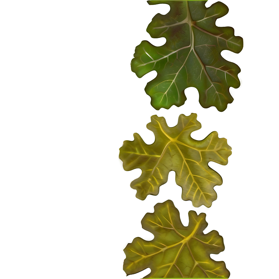 Oak Leaf Border Png Xkl70