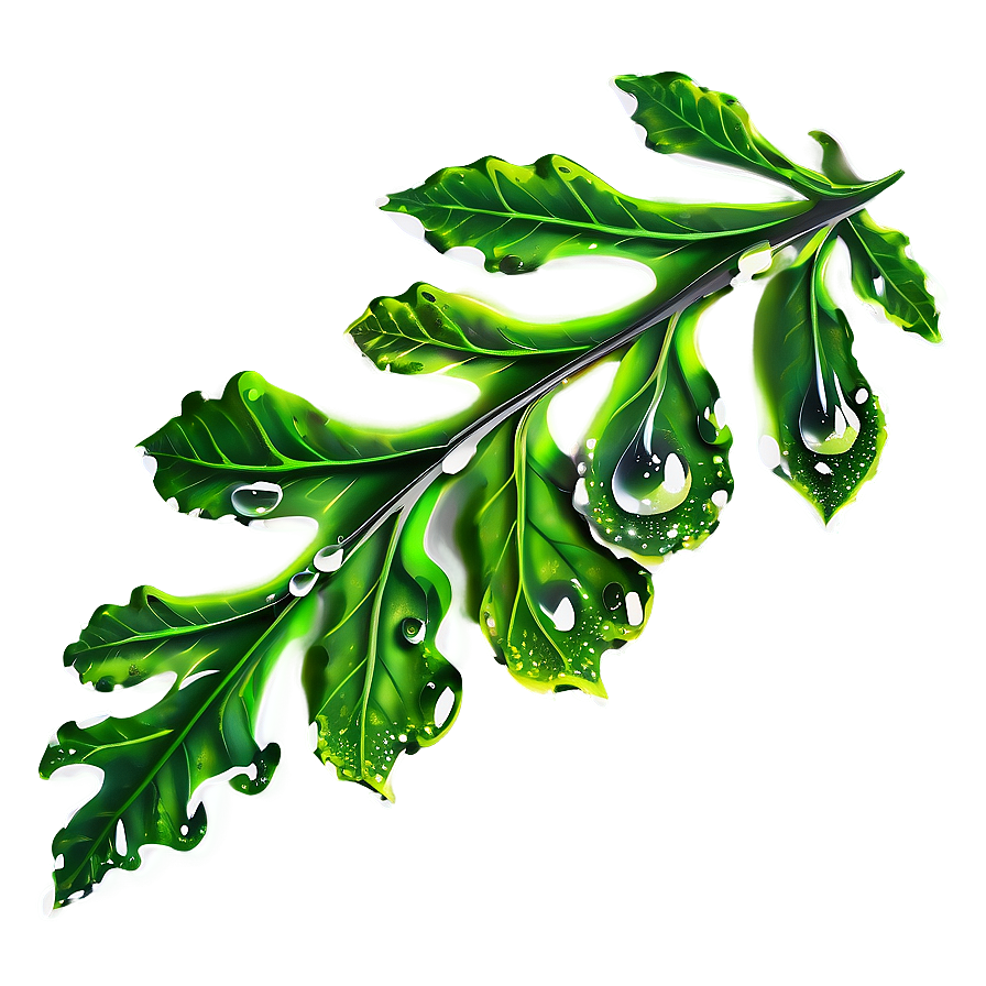 Oak Leaf Dewdrops PNG 84 PNG with transparent background