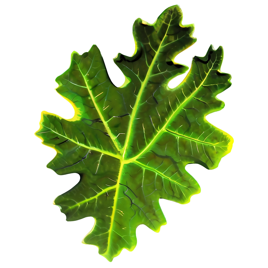 Oak Leaf Icon Png 95