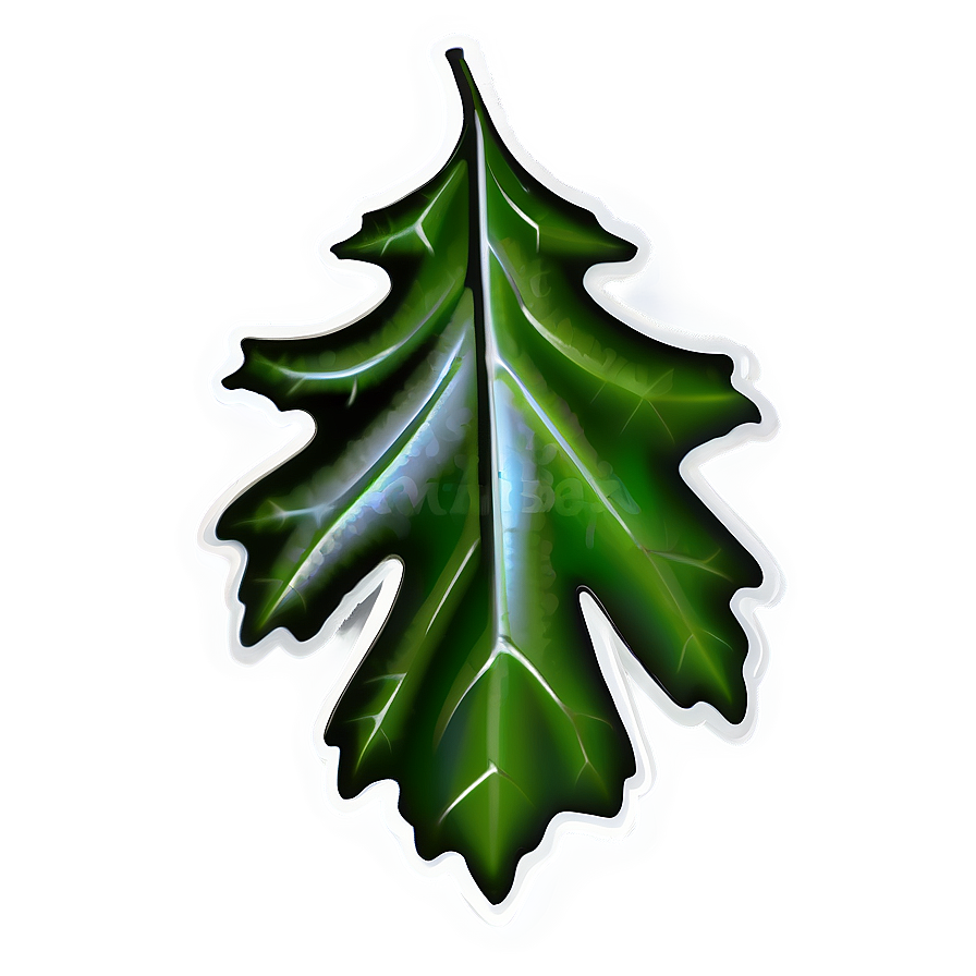 Oak Leaf Illustration Png Luu