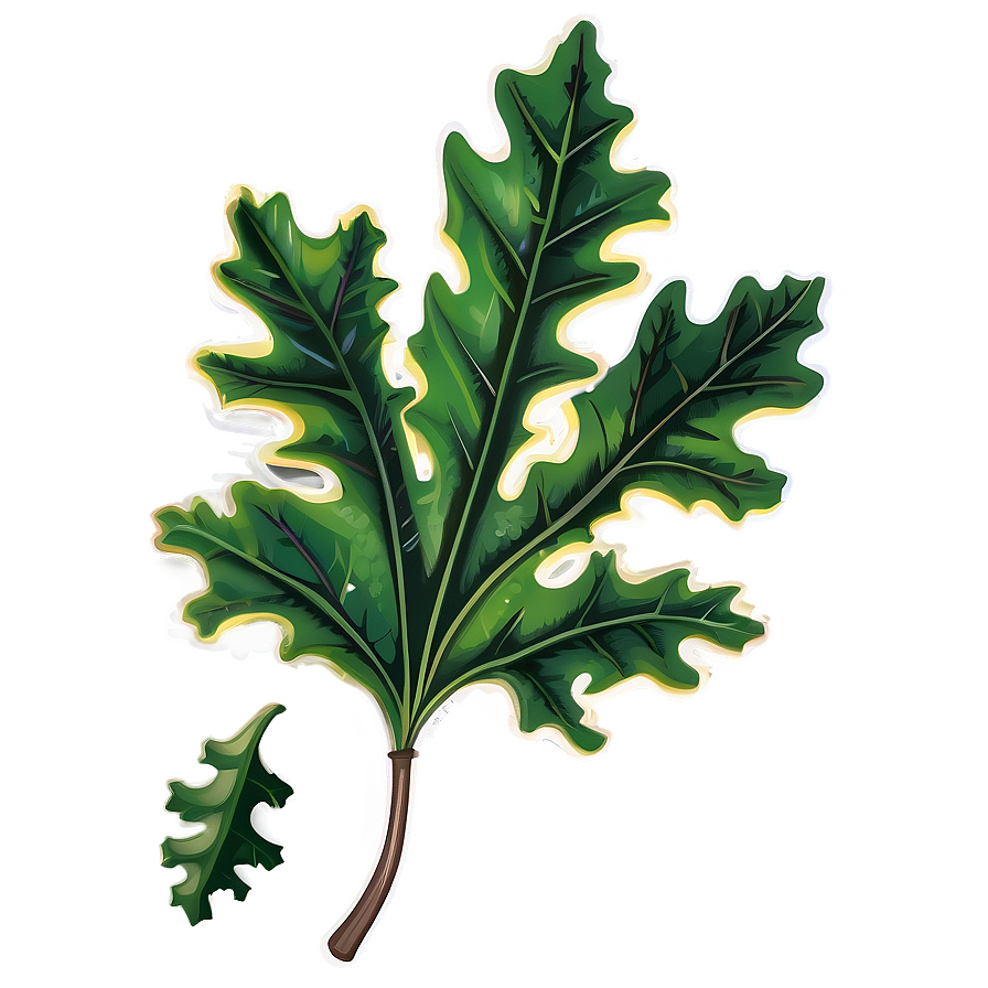 Oak Leaf Illustration Png Tvm82