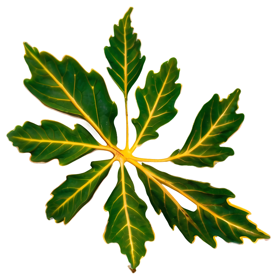 Oak Leaf Veins PNG qyc68 PNG with transparent background