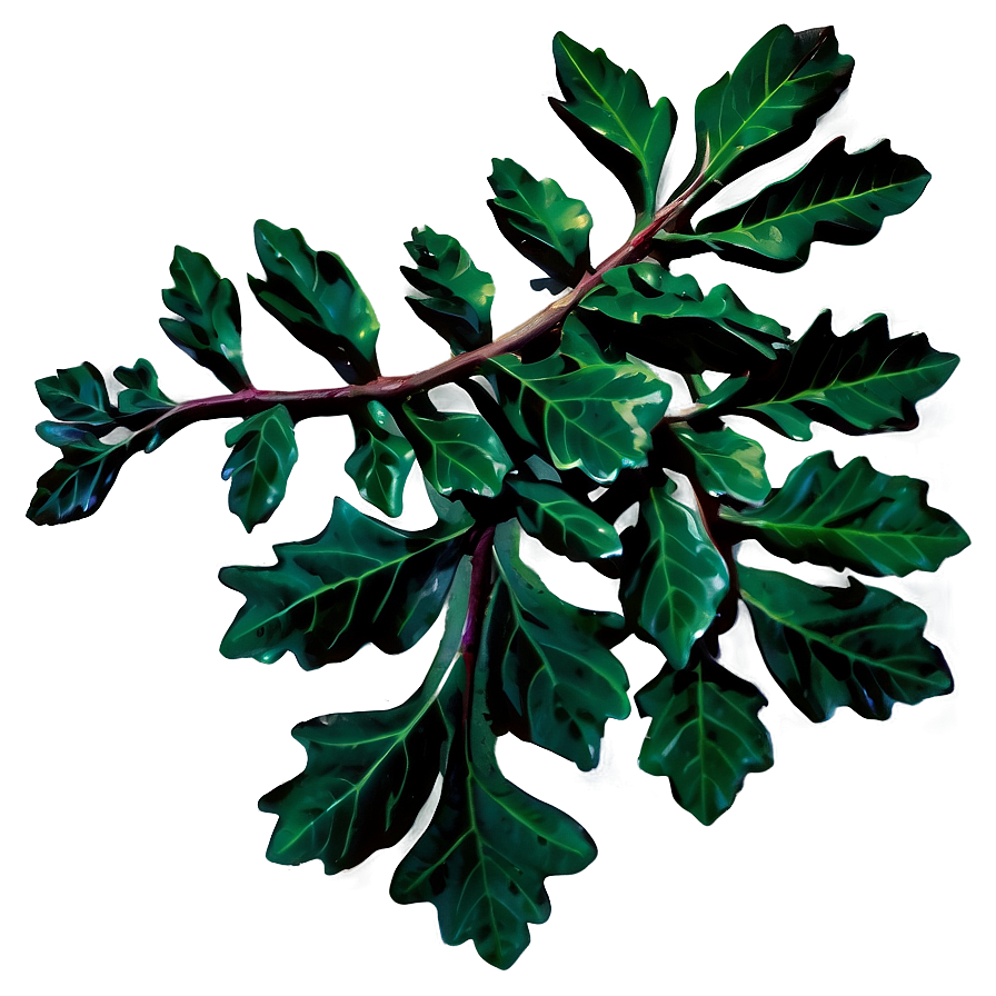 Oak Leaves Cluster PNG dgu PNG with transparent background