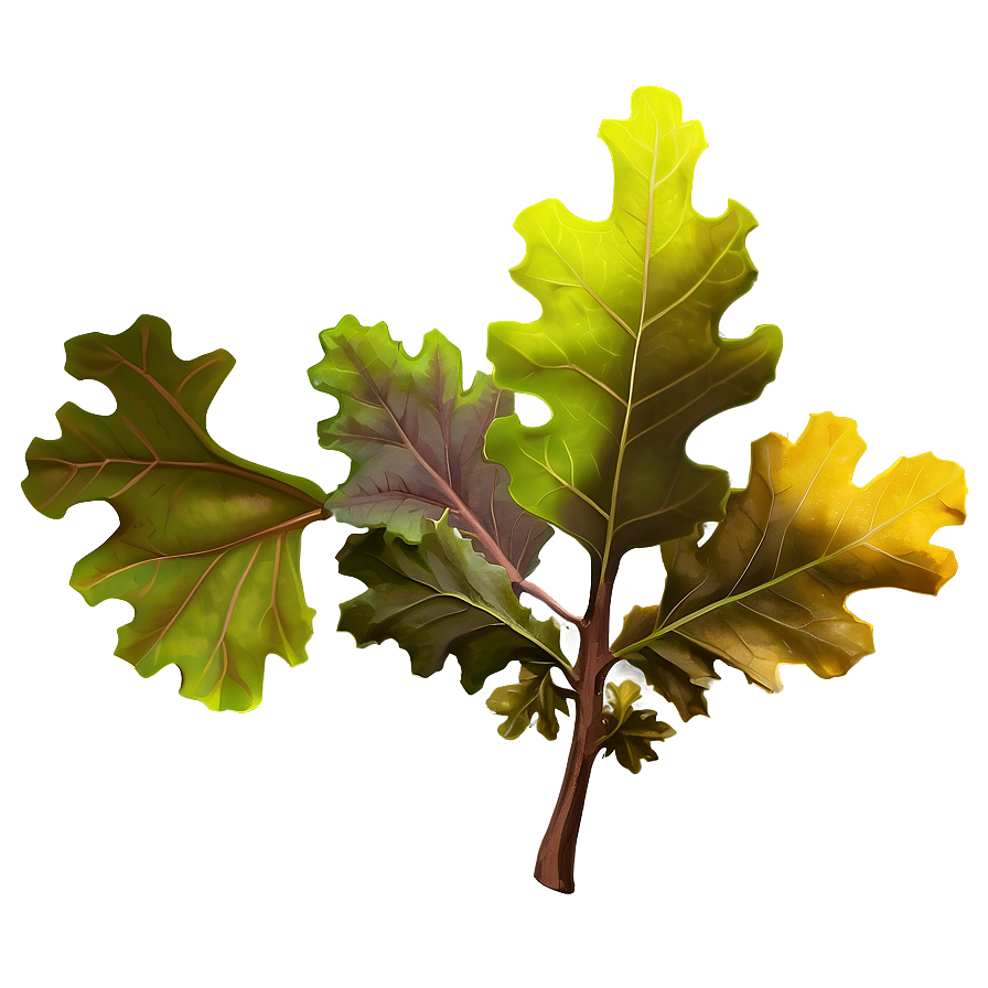 Oak Leaves PNG lqb19 PNG with transparent background