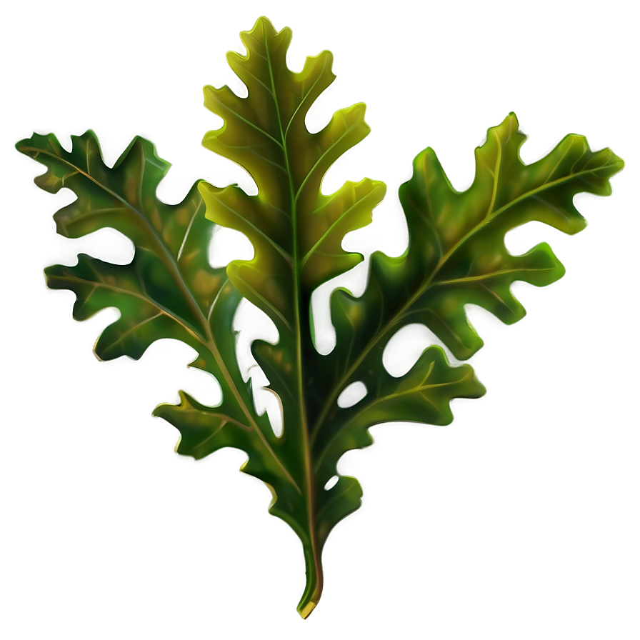 Oak Leaves PNG skk PNG with transparent background