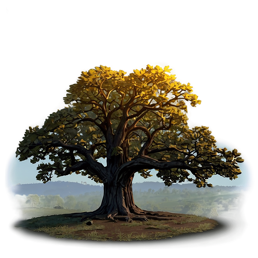 Oak Tree at Dawn PNG 06262024 PNG with transparent background