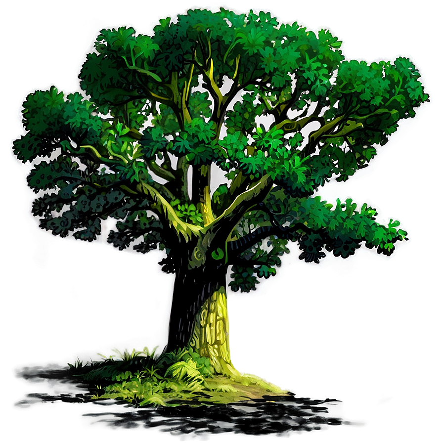 Oak Tree Shadow PNG ojg PNG with transparent background