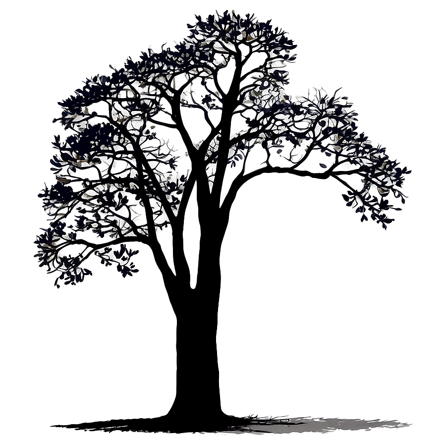 Oak Tree Silhouette at Sunset PNG mvc6 PNG with transparent background
