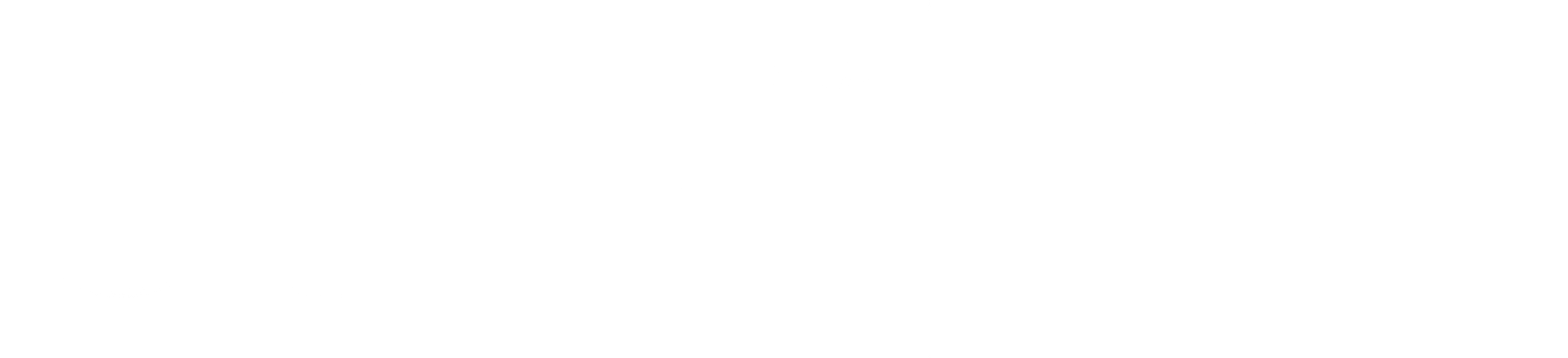 Oasis Loss Modelling Framework Logo PNG with transparent background