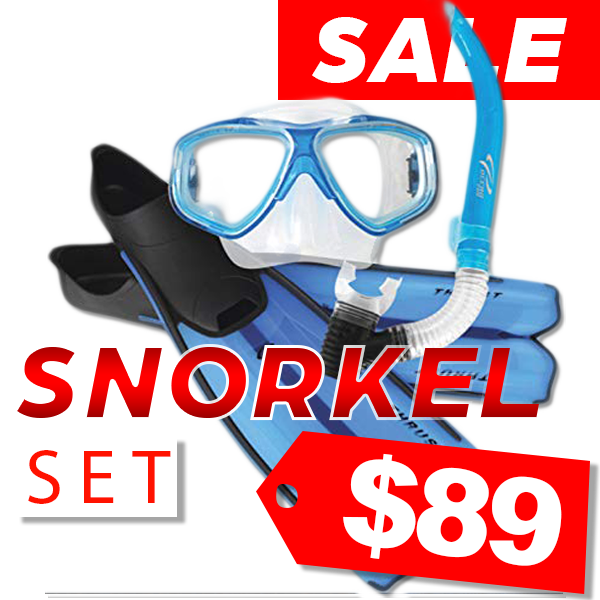 Ocean Pro Snorkel Set Sale89 Dollars