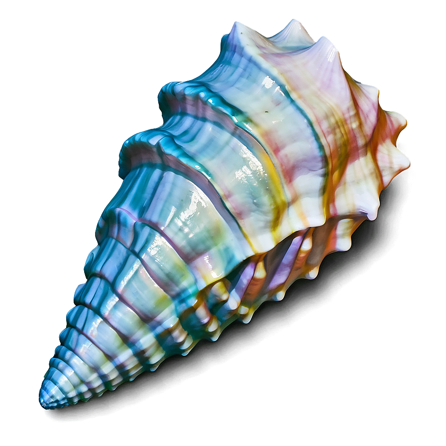 Ocean Themed Conch Shell Png 51 Image