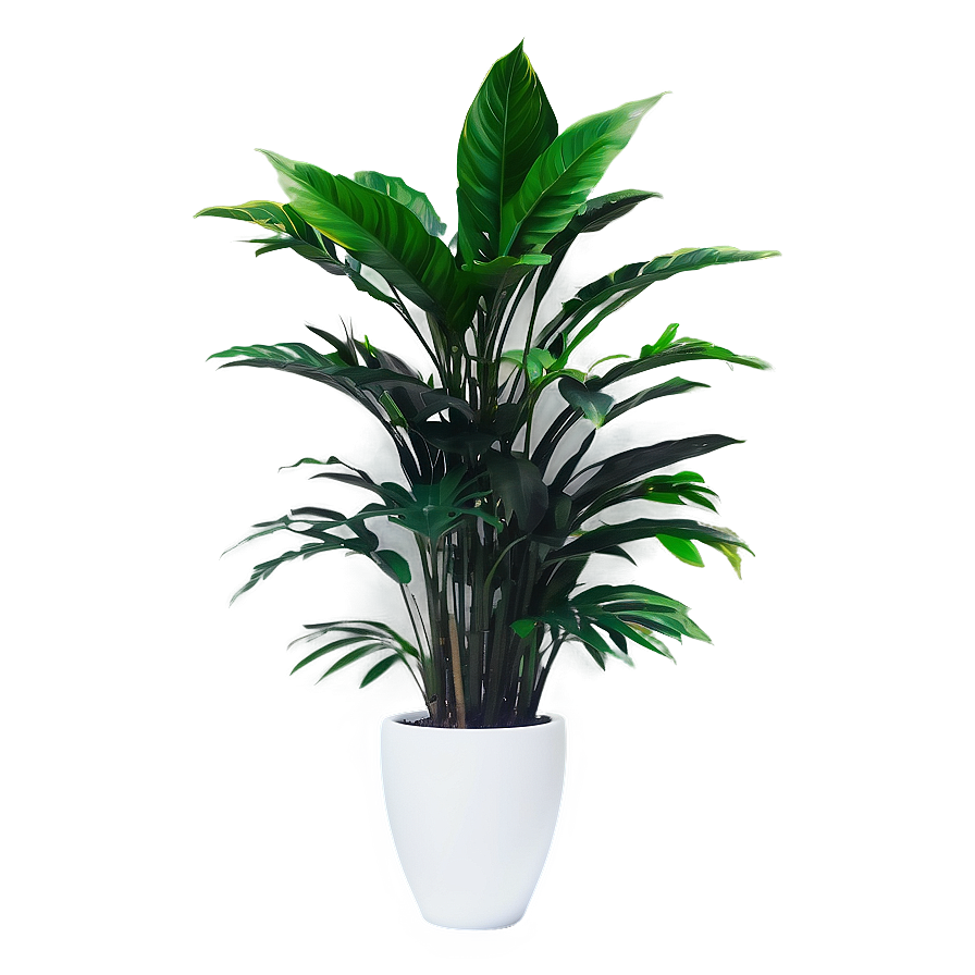 Office Floor Plant Png 44