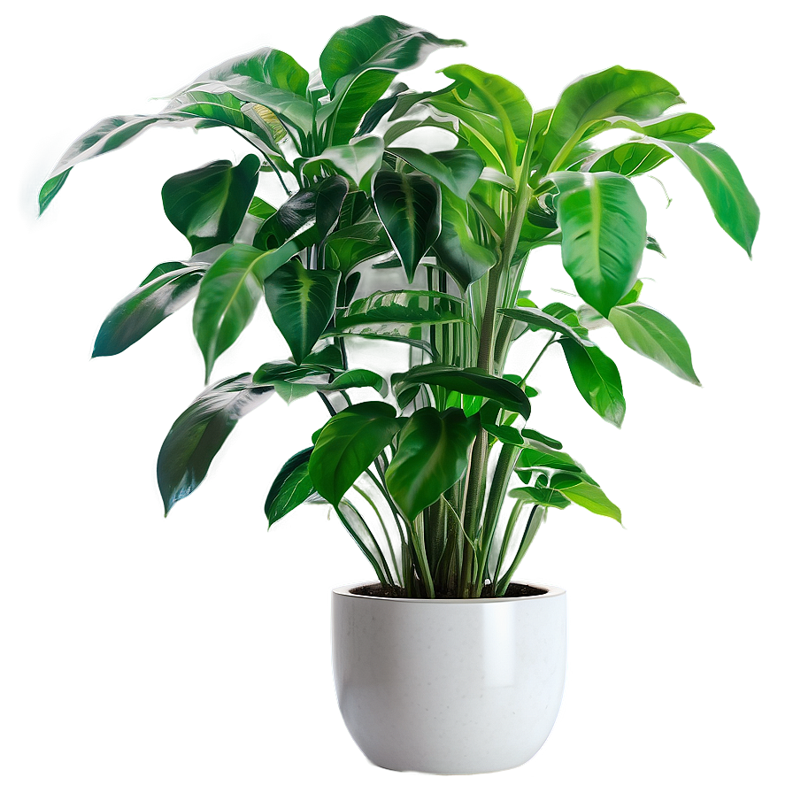 Office Floor Plant Png Mmq59