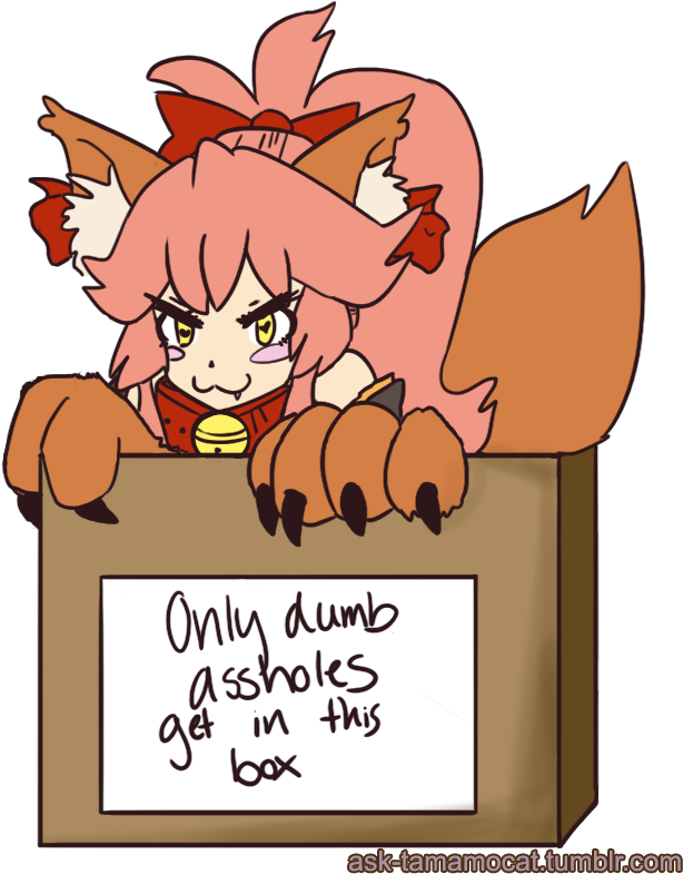 Oh No Wann Tamamo Cat Ate So Much Food On Thanksgiving - Fate Grand Order Tamamo Memes, HD Png Download PNG with transparent background