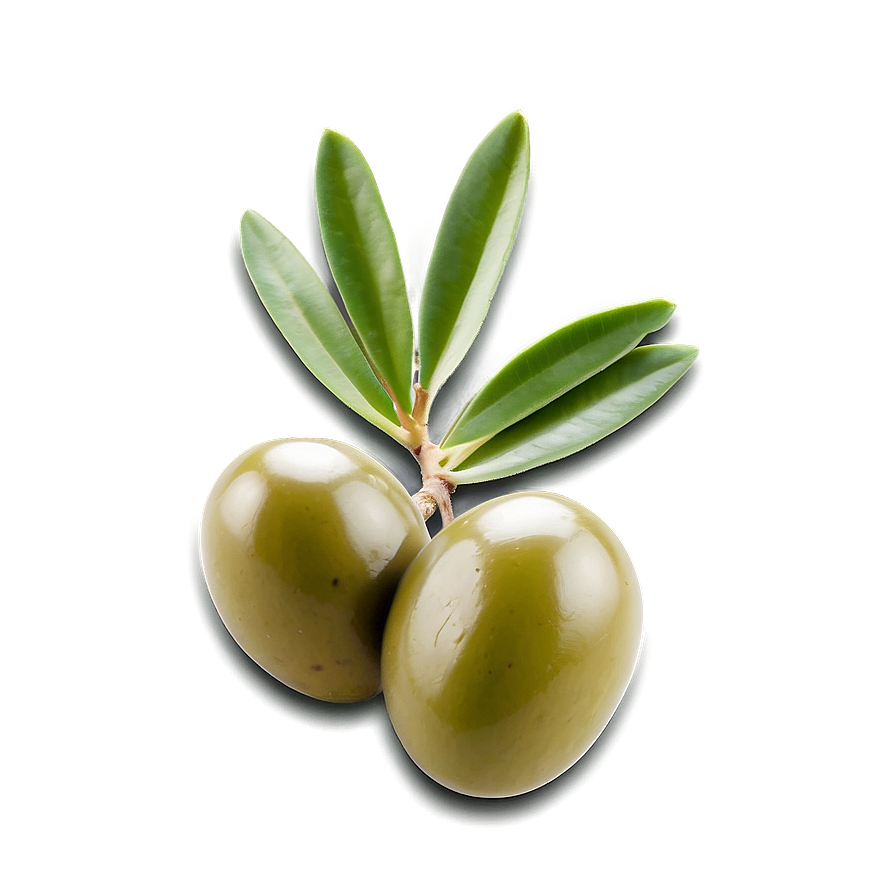 Olive Seed Png Wrw63