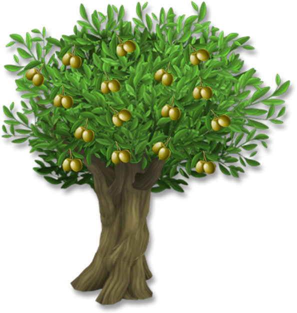 Olive Leaf Tree Clip Art - Olive Tree With Olives Png, Transparent Png PNG with transparent background