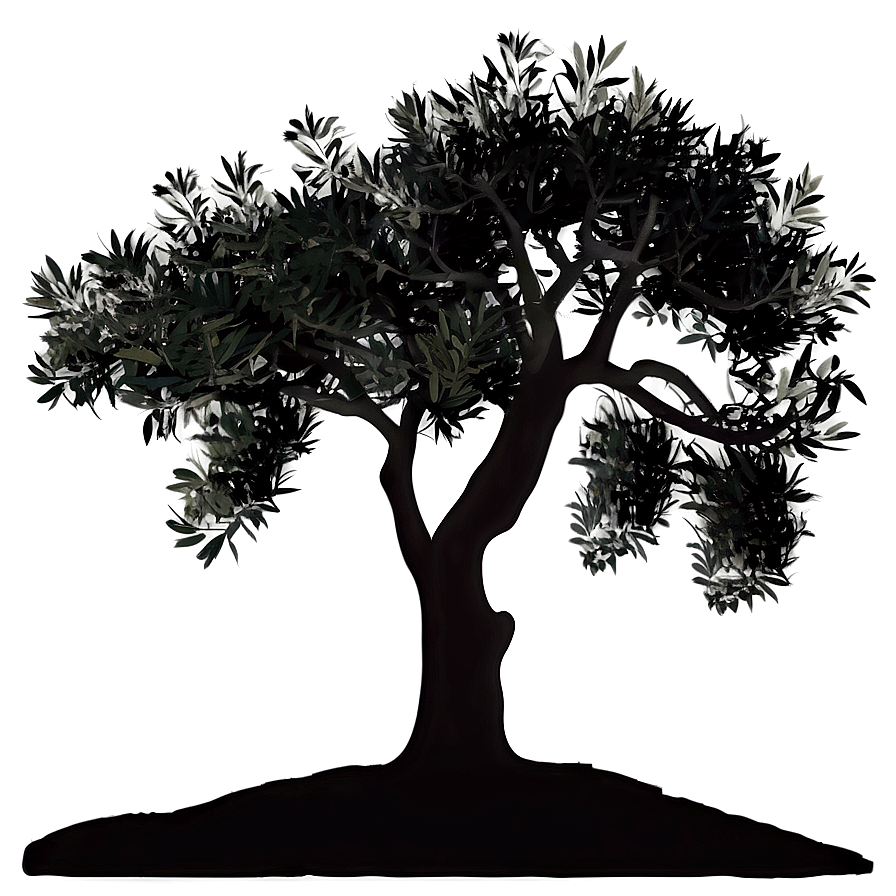 Olive Tree Silhouette PNG 72 PNG with transparent background