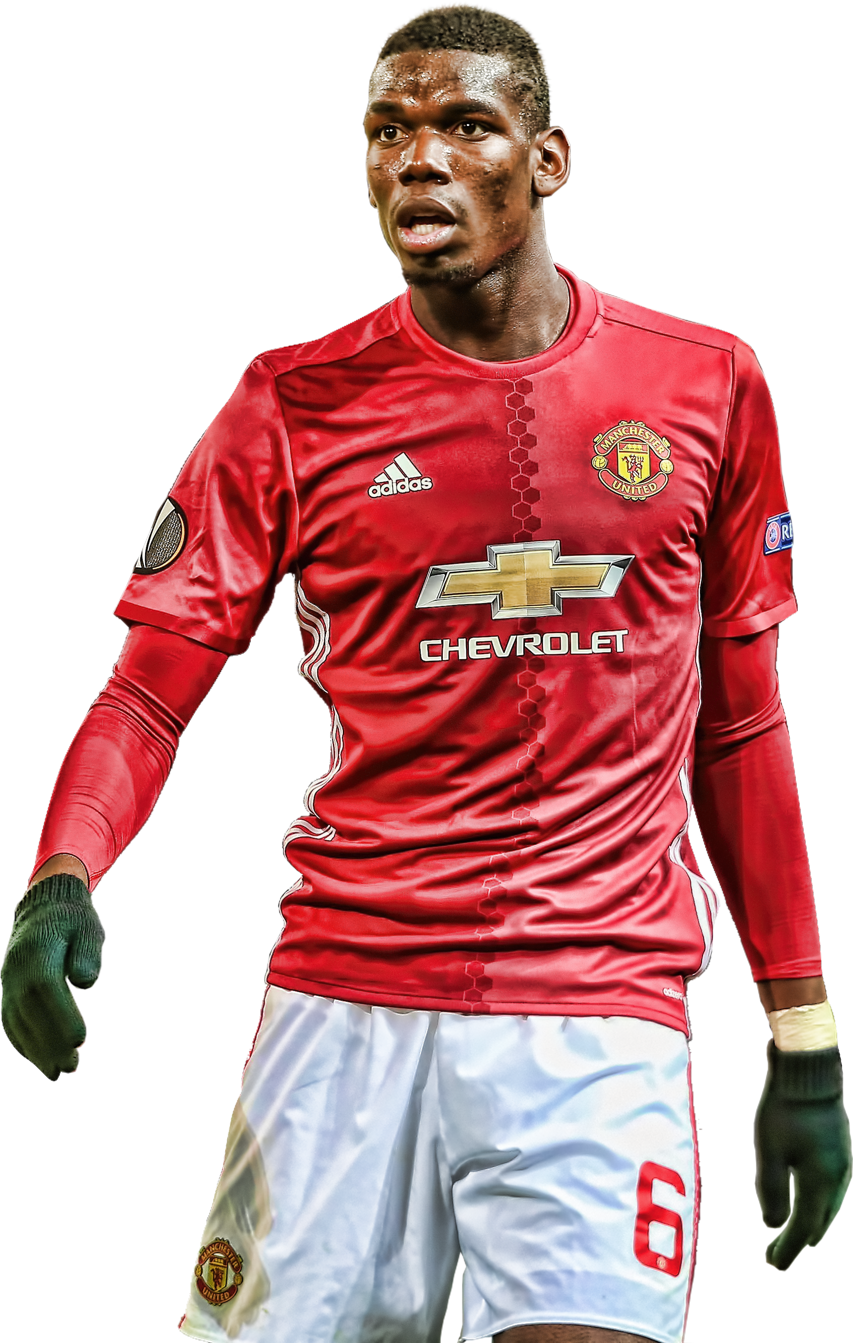One Love Manchester United, Soccer Players, Football - Pogba Manchester United Png, Transparent Png PNG with transparent background