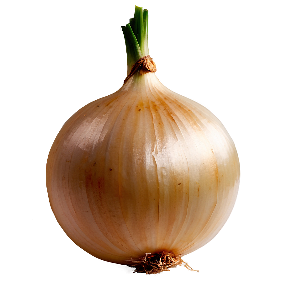 Onion C