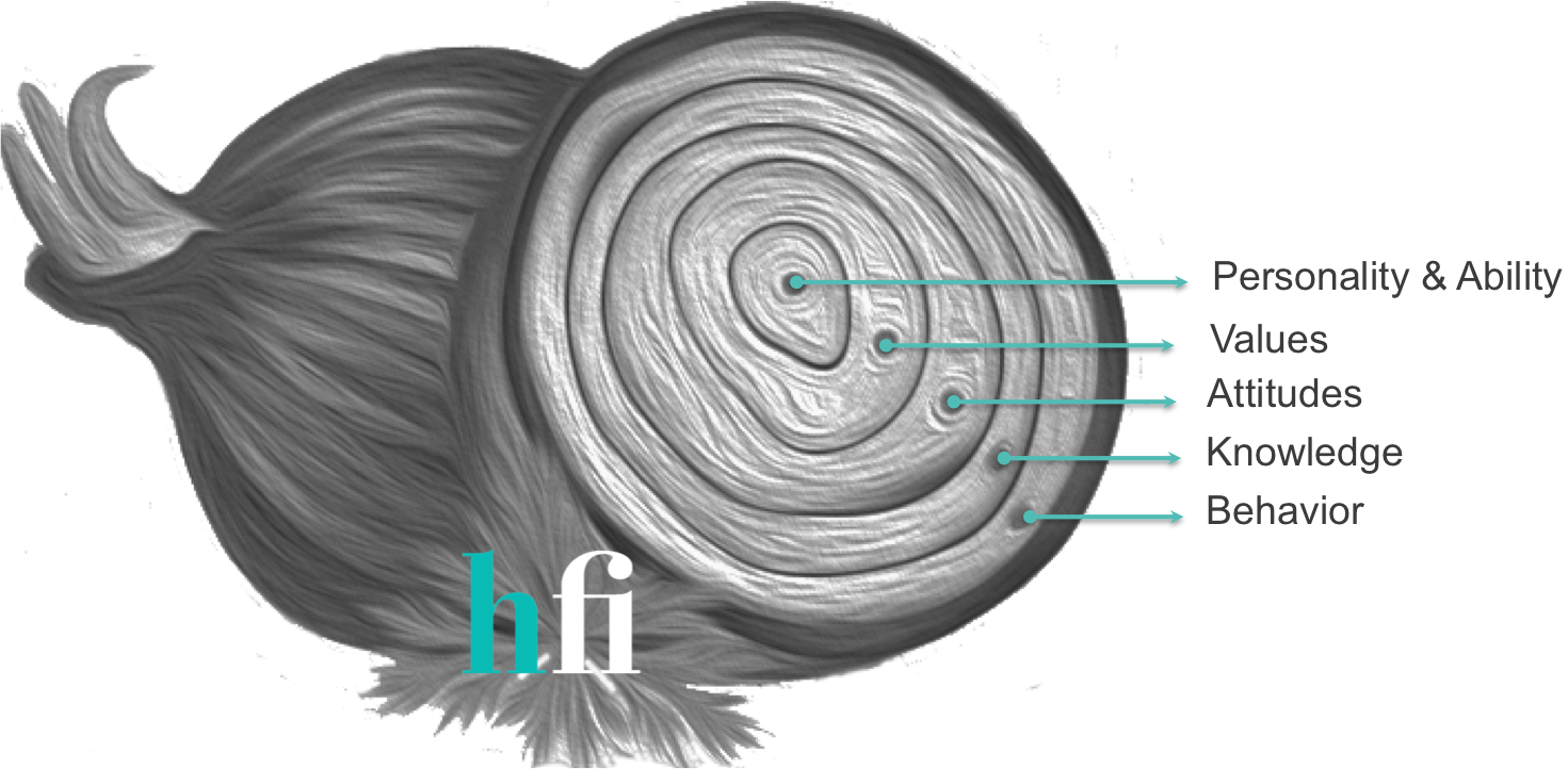 Work Behavior Explained By The Onion - Onion Model Behaviour, HD Png Download PNG with transparent background