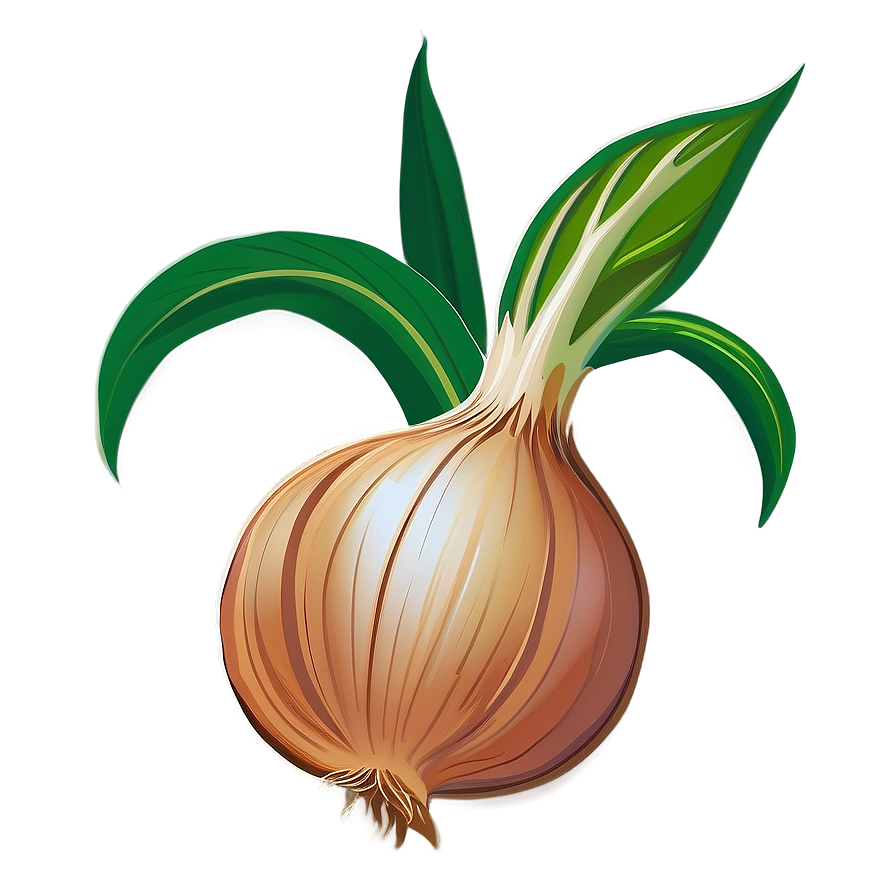 Onion Plant Illustration PNG fpb PNG with transparent background