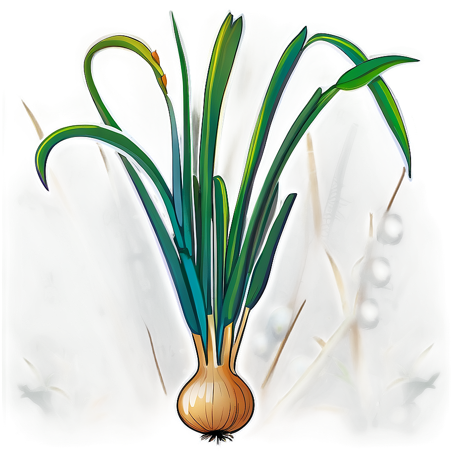 Onion Plant Illustration Png Ouo