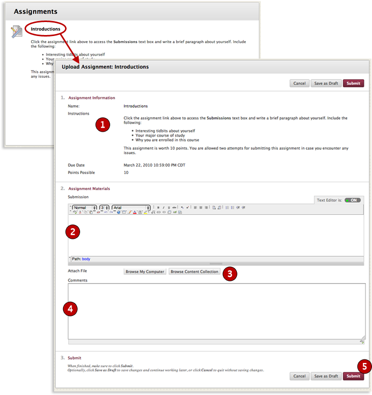 Submitting An Assignmnet - Submit On Blackboard, HD Png Download PNG with transparent background