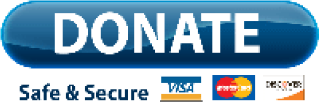 Paypal Donate Button Png Transparent Images - Donate Button, Png Download PNG with transparent background