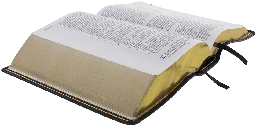 Open Bibleon Display