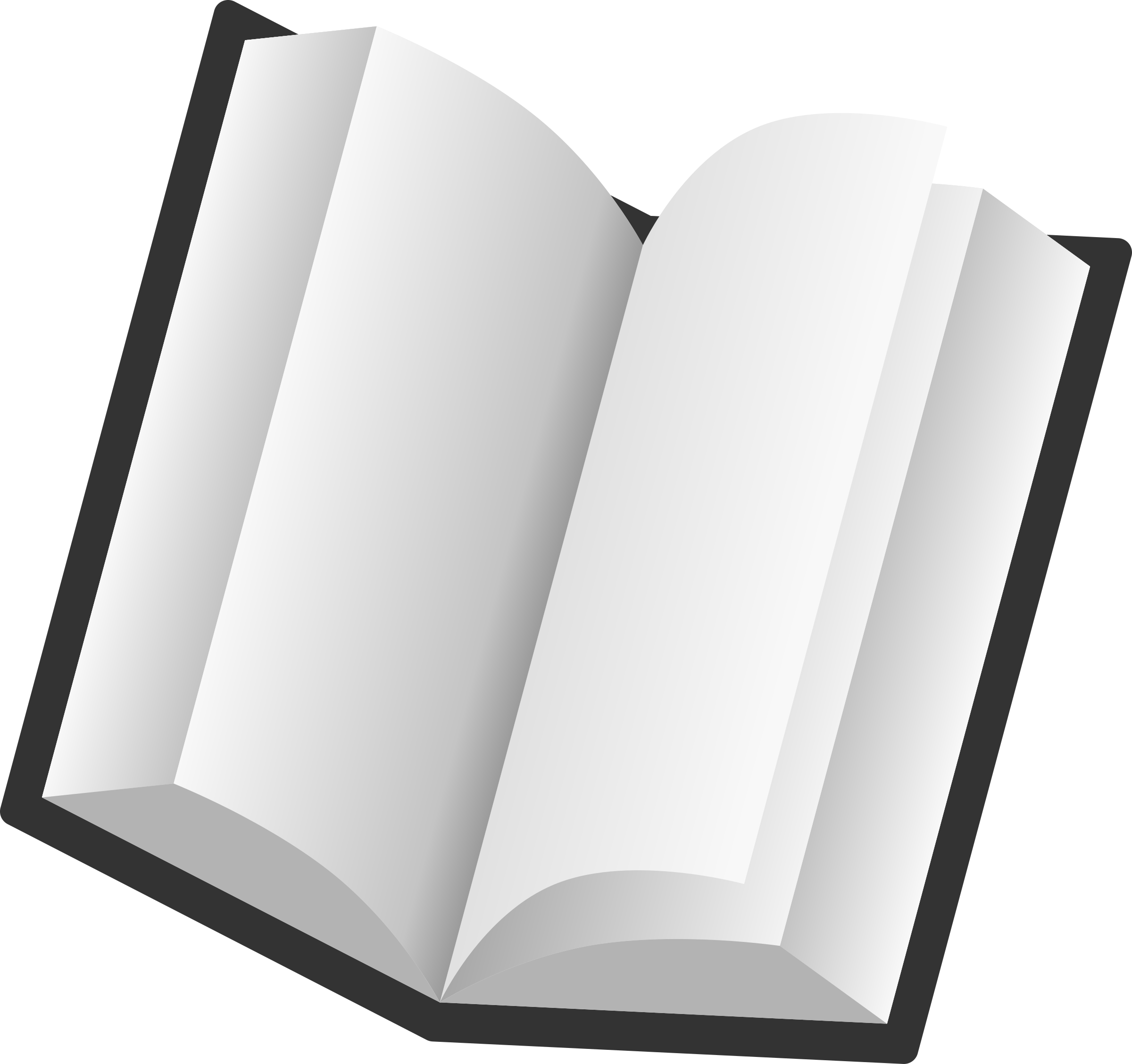 Open Blank Book Illustration