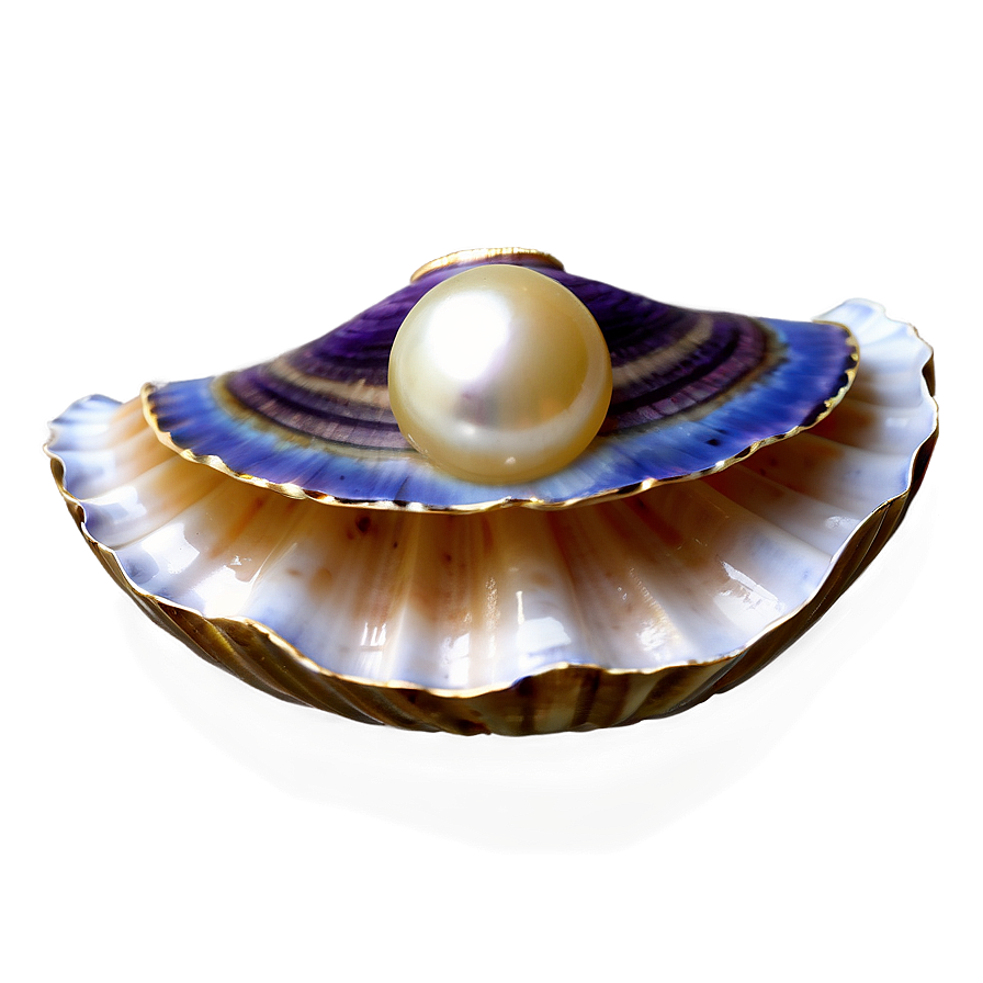 Open Clam with Pearl PNG 05242024 PNG with transparent background