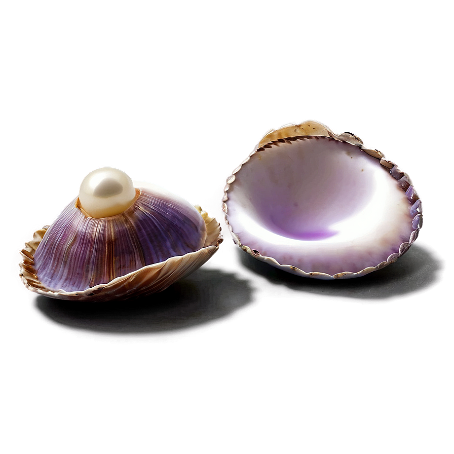 Open Clam With Pearl Png Beo37