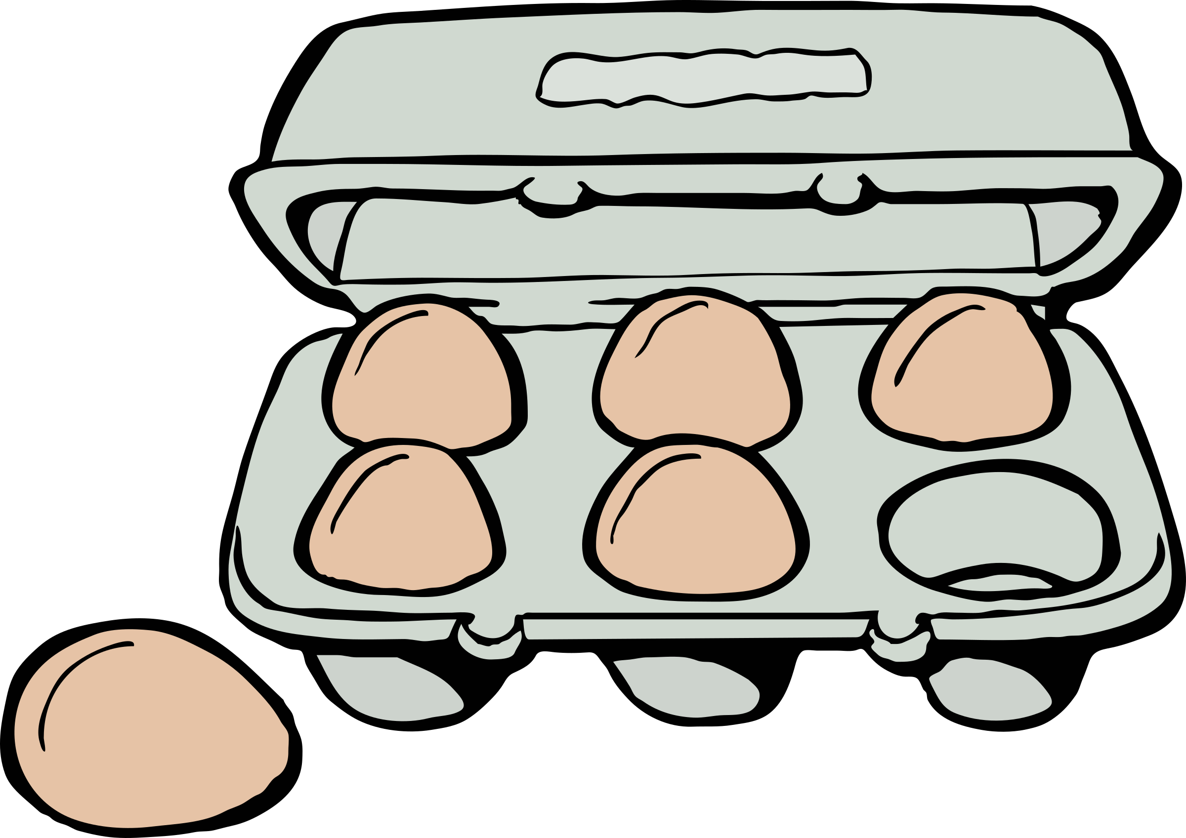 Open Egg Carton With One Egg Missing