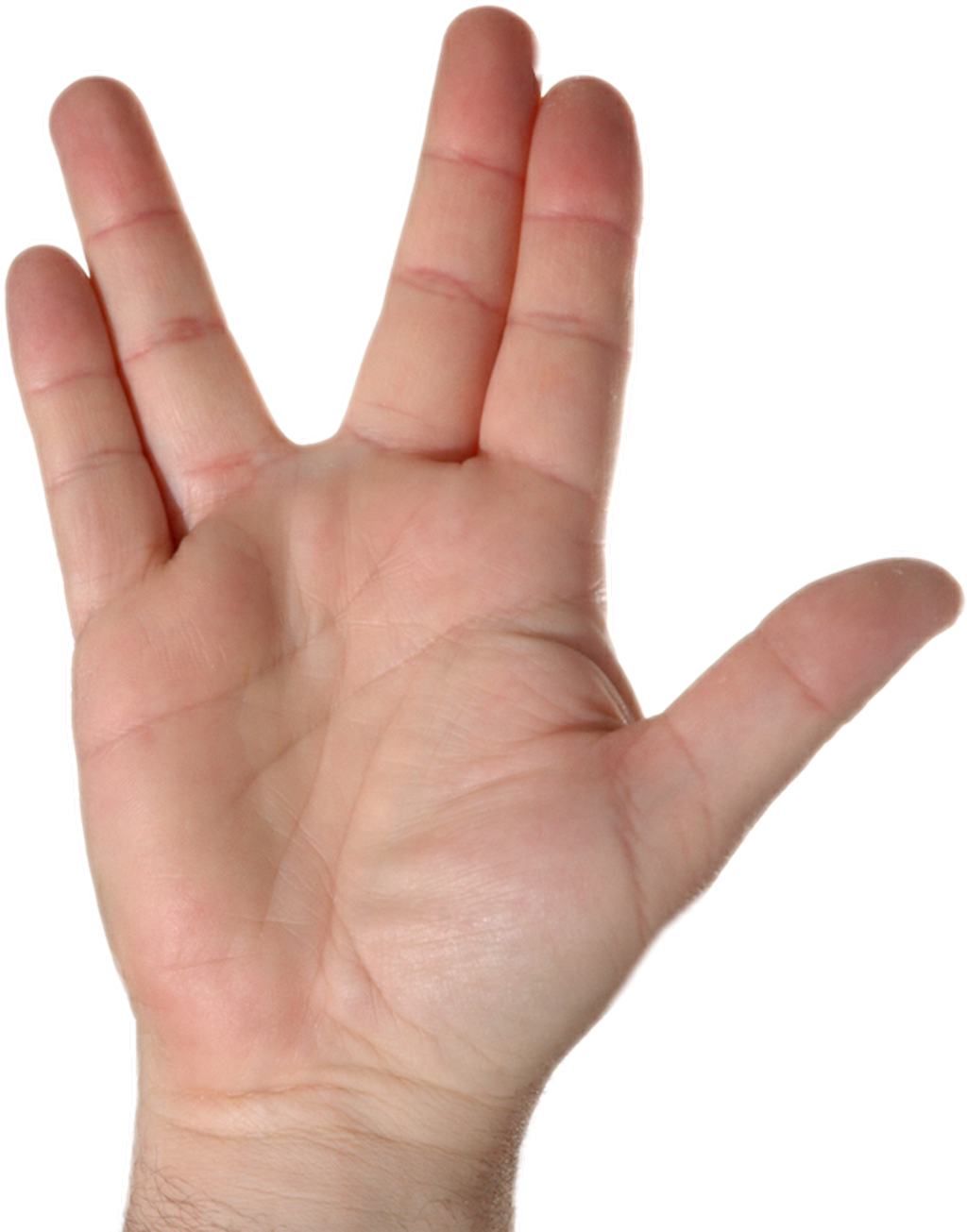 #ftestickers #hand #palm - 4 Finger Peace Sign, HD Png Download PNG with transparent background